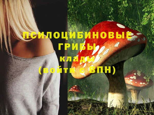 mix Абаза