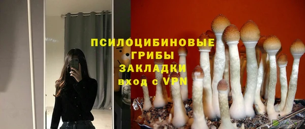 mix Абаза
