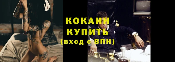 гидра Рославль