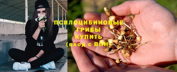 гашик Ростов