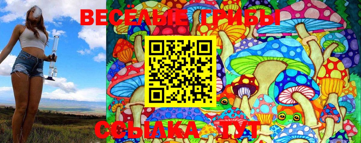 ГАШ  ГАШ  Истра  МЕФ   Вход с VPN 