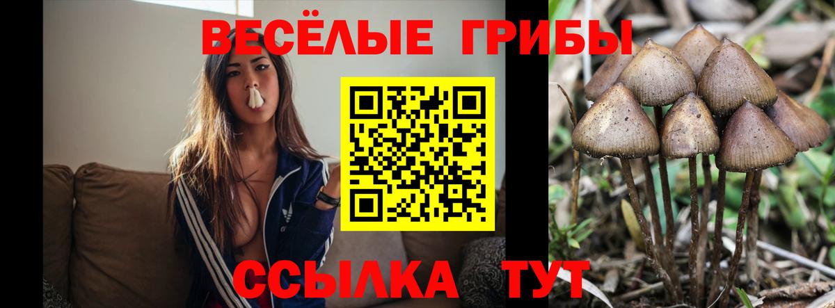 Псилоцибиновые грибы ЛСД  Псилоцибиновые грибы GOLDEN TEACHER  Вход с VPN  Истра 